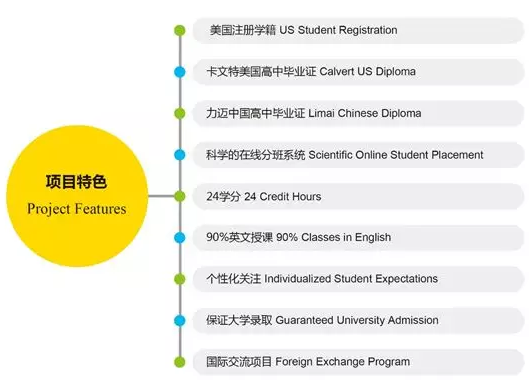 選擇國際學(xué)校：只聽說過AP、A-level和IB課程？那你就OUT了