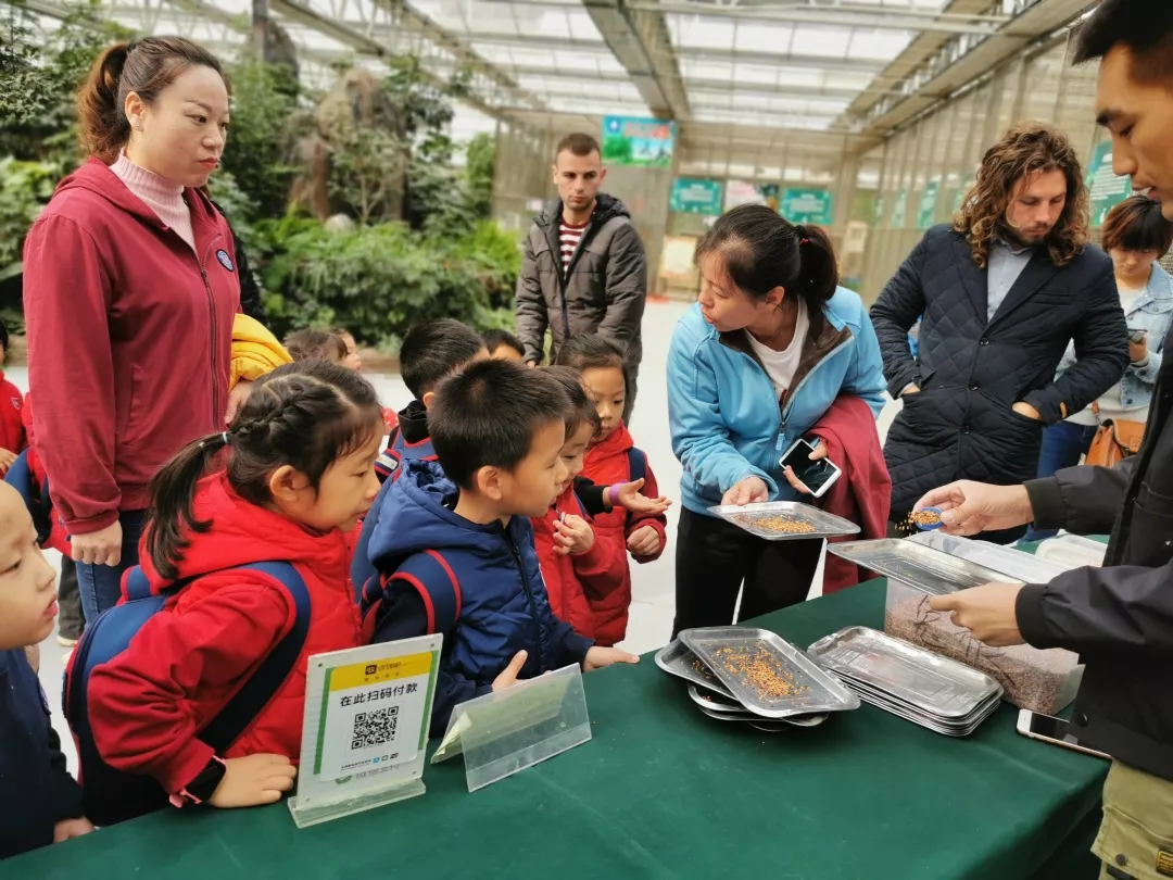 【力邁九華】遠離城市喧囂，感受自然美麗—力邁幼兒園大自然親近課(圖4)