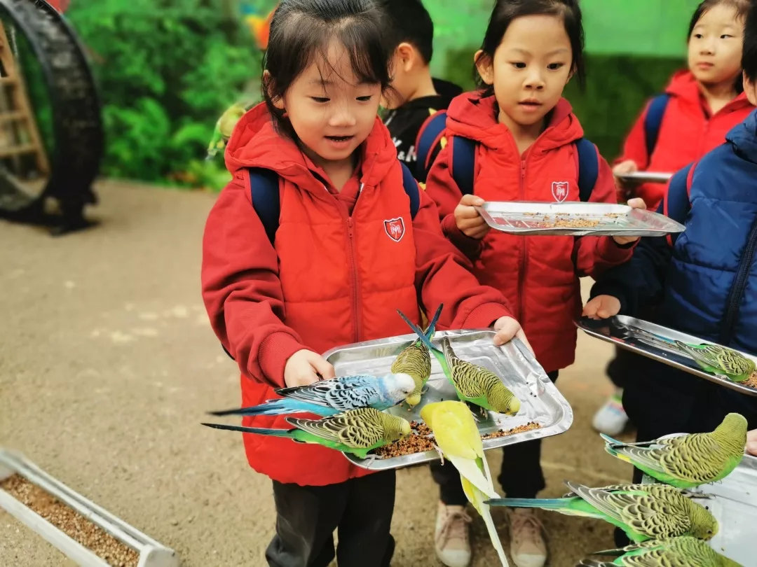 【力邁九華】遠離城市喧囂，感受自然美麗—力邁幼兒園大自然親近課(圖5)