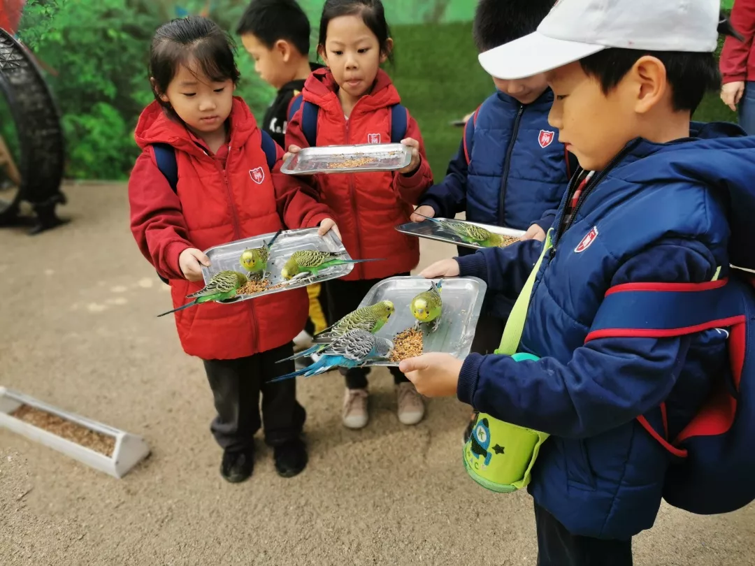 【力邁九華】遠離城市喧囂，感受自然美麗—力邁幼兒園大自然親近課(圖6)