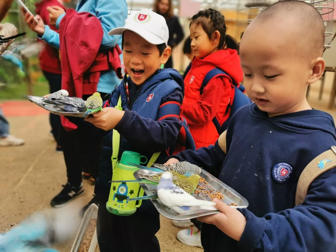 【力邁九華】遠離城市喧囂，感受自然美麗—力邁幼兒園大自然親近課(圖7)