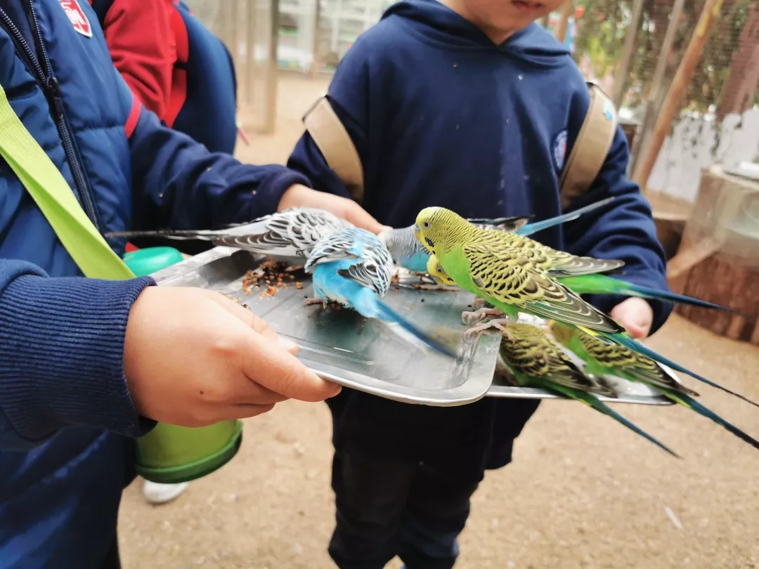 【力邁九華】遠離城市喧囂，感受自然美麗—力邁幼兒園大自然親近課(圖8)