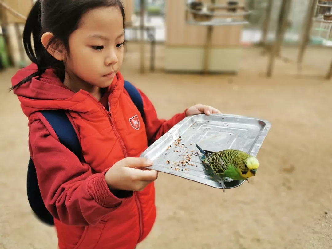 【力邁九華】遠離城市喧囂，感受自然美麗—力邁幼兒園大自然親近課(圖9)