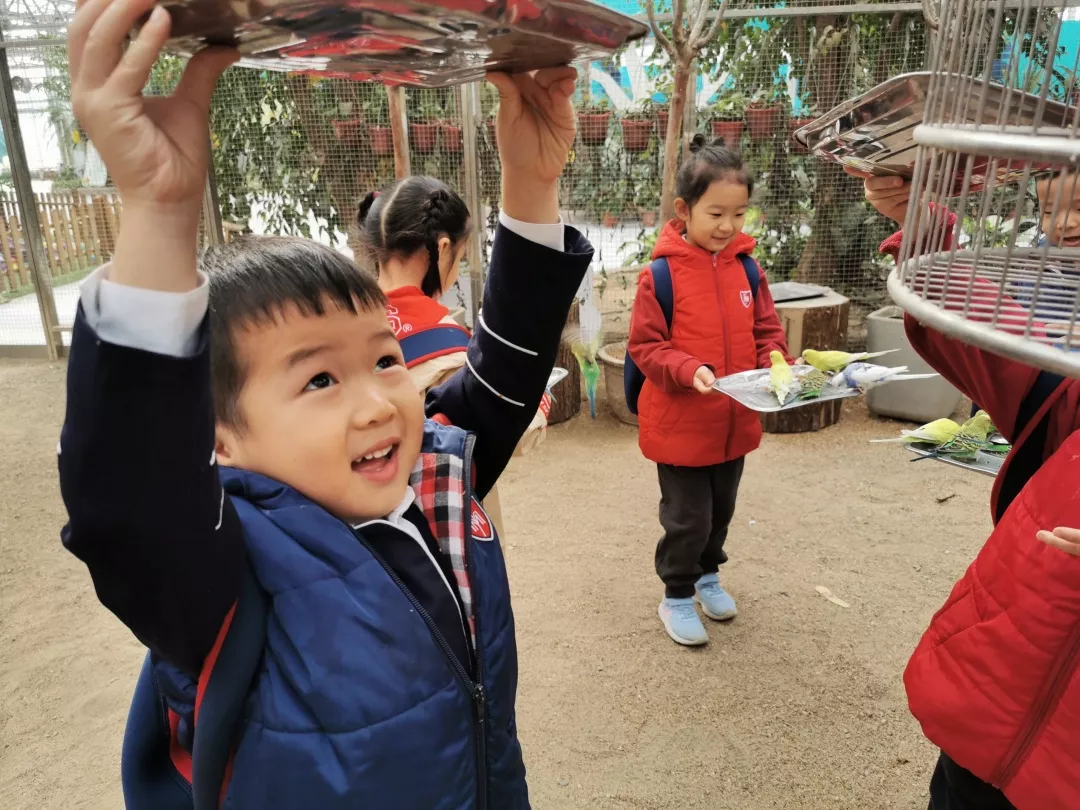 【力邁九華】遠離城市喧囂，感受自然美麗—力邁幼兒園大自然親近課(圖10)