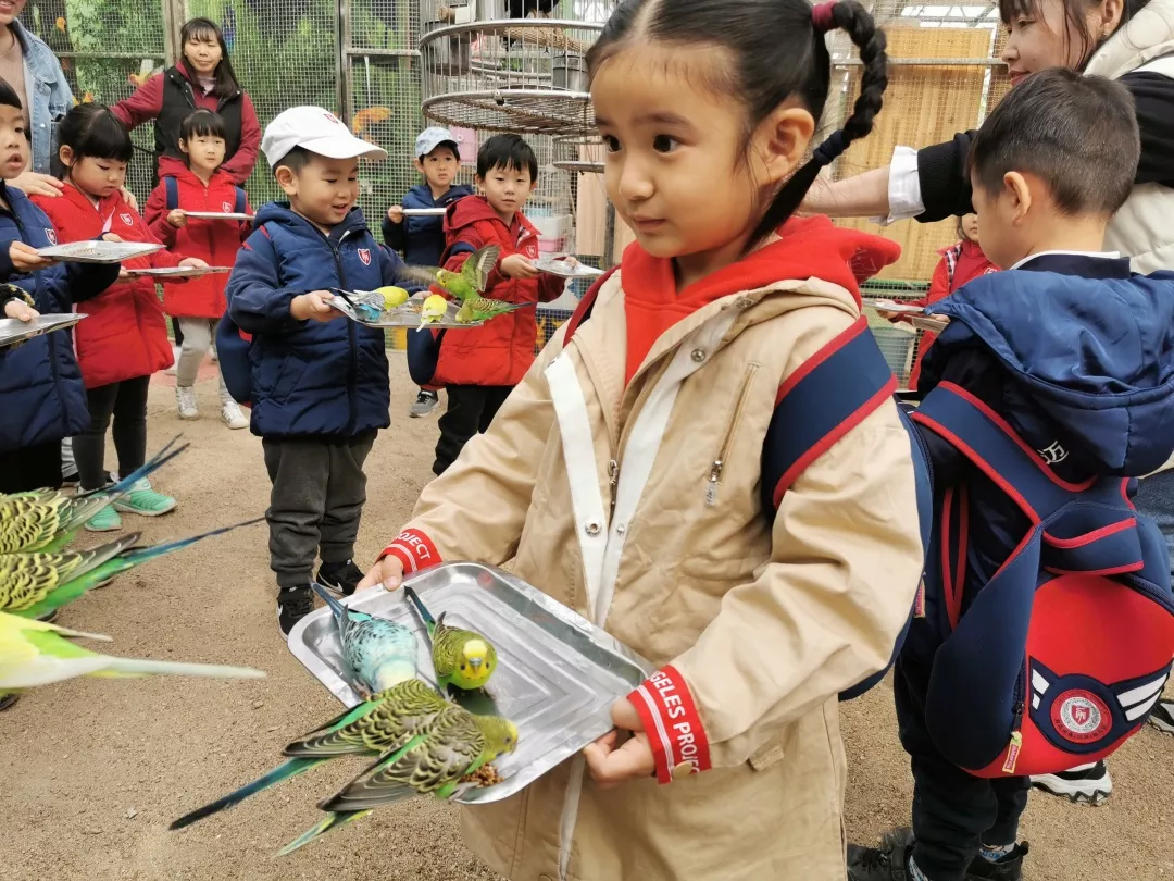 【力邁九華】遠離城市喧囂，感受自然美麗—力邁幼兒園大自然親近課(圖11)