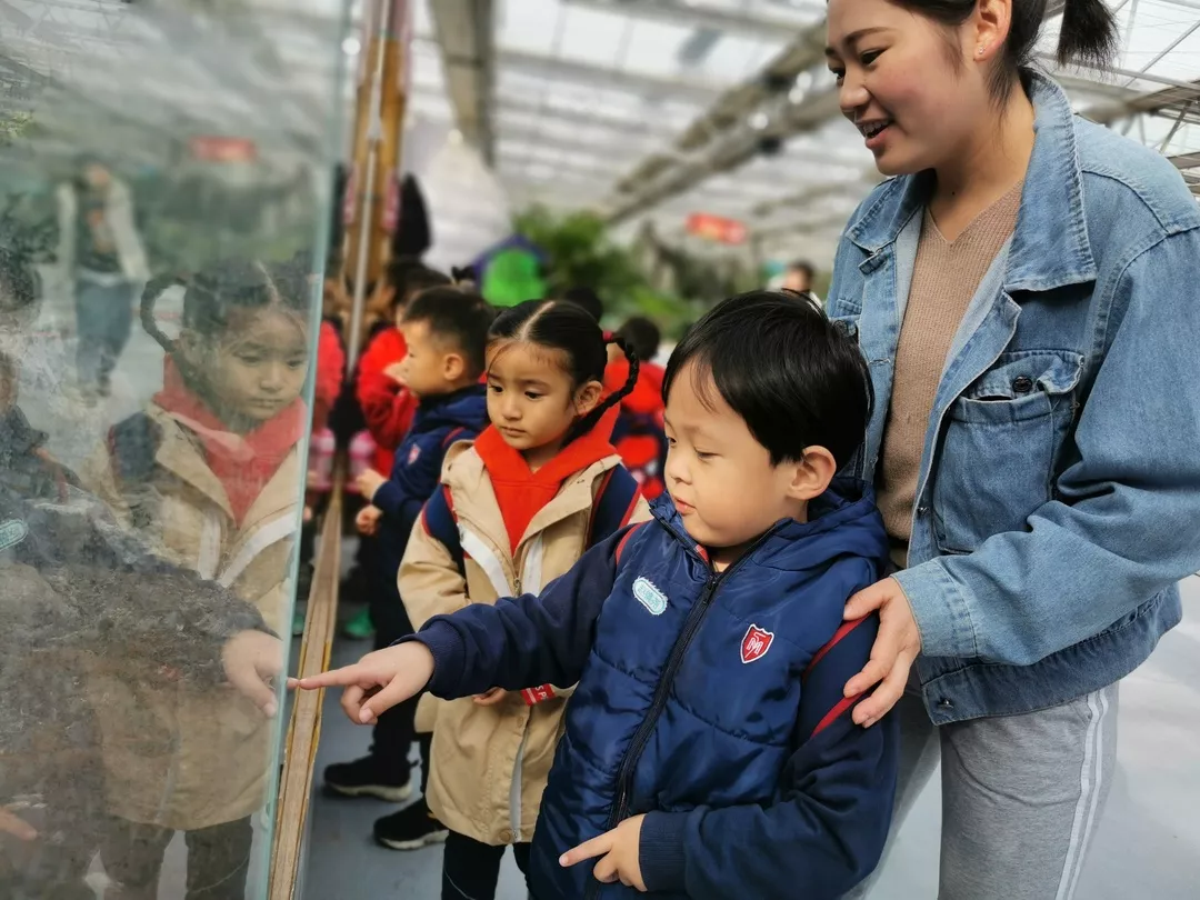 【力邁九華】遠離城市喧囂，感受自然美麗—力邁幼兒園大自然親近課(圖12)