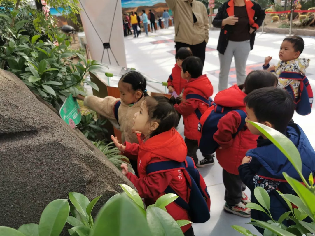 【力邁九華】遠離城市喧囂，感受自然美麗—力邁幼兒園大自然親近課(圖15)