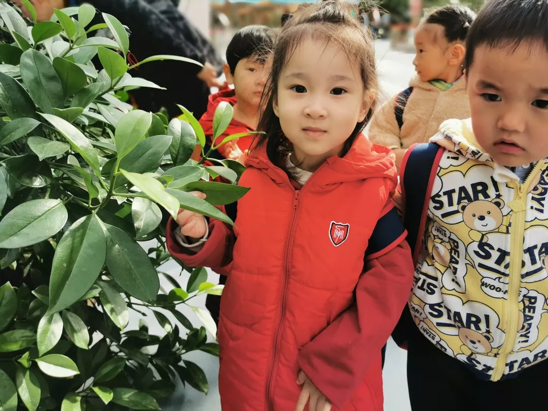 【力邁九華】遠離城市喧囂，感受自然美麗—力邁幼兒園大自然親近課(圖17)