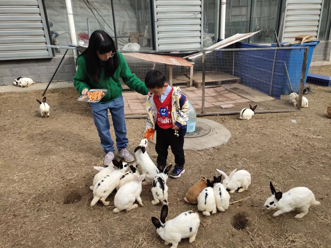 【力邁九華】遠離城市喧囂，感受自然美麗—力邁幼兒園大自然親近課(圖20)