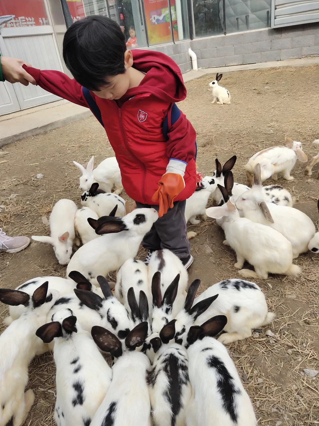 【力邁九華】遠離城市喧囂，感受自然美麗—力邁幼兒園大自然親近課(圖22)