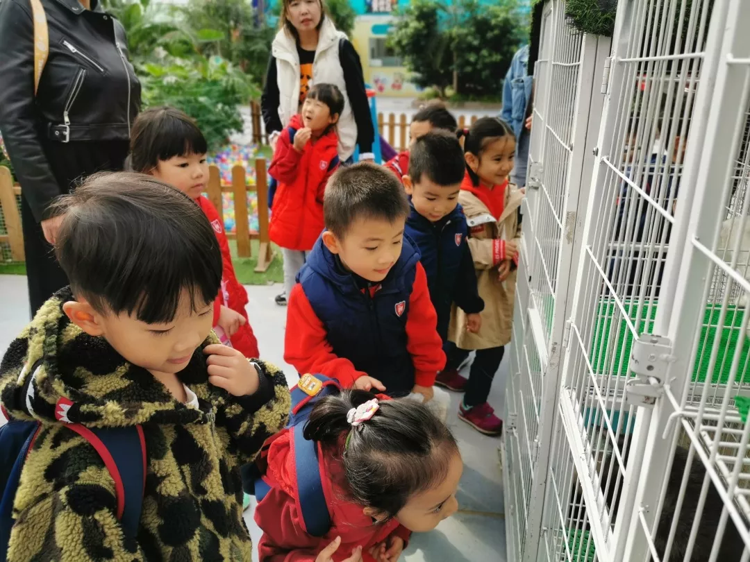 【力邁九華】遠離城市喧囂，感受自然美麗—力邁幼兒園大自然親近課(圖23)