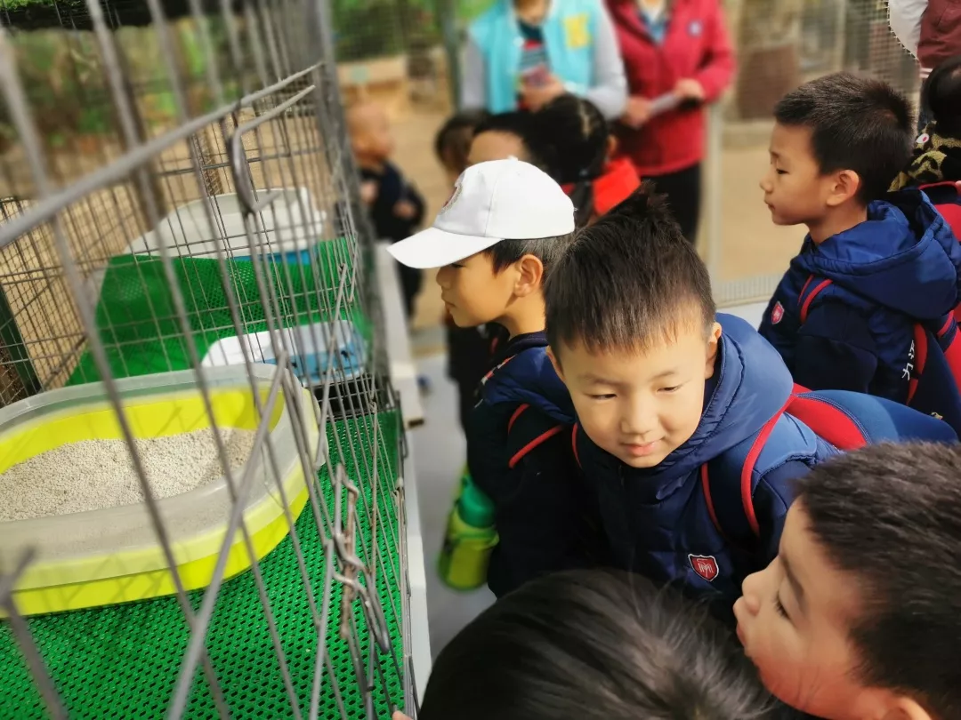 【力邁九華】遠離城市喧囂，感受自然美麗—力邁幼兒園大自然親近課(圖24)