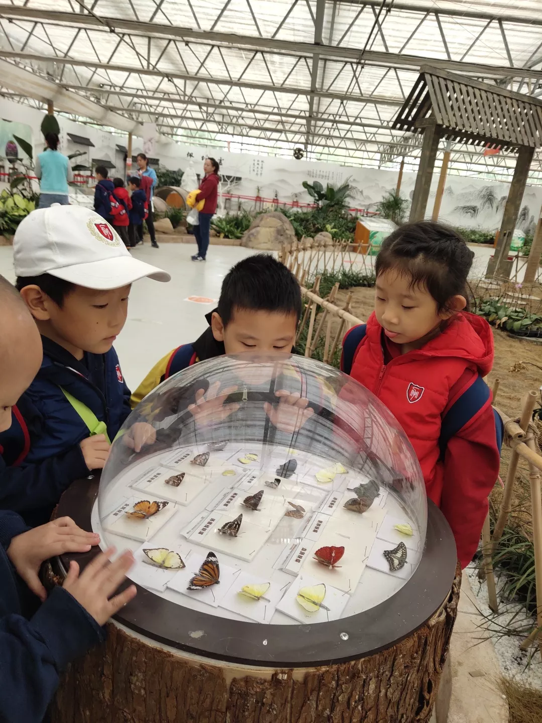 【力邁九華】遠離城市喧囂，感受自然美麗—力邁幼兒園大自然親近課(圖29)