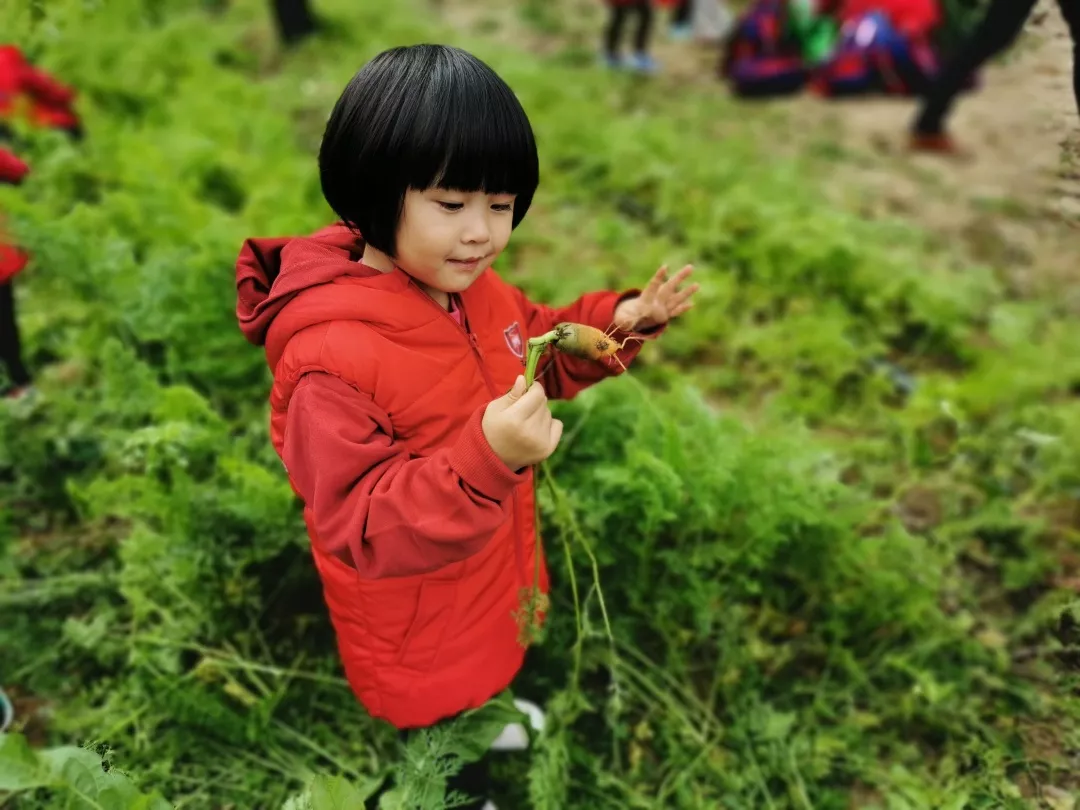 【力邁九華】遠離城市喧囂，感受自然美麗—力邁幼兒園大自然親近課(圖39)