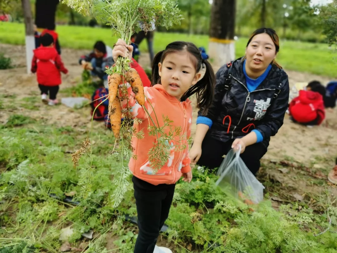 【力邁九華】遠離城市喧囂，感受自然美麗—力邁幼兒園大自然親近課(圖40)