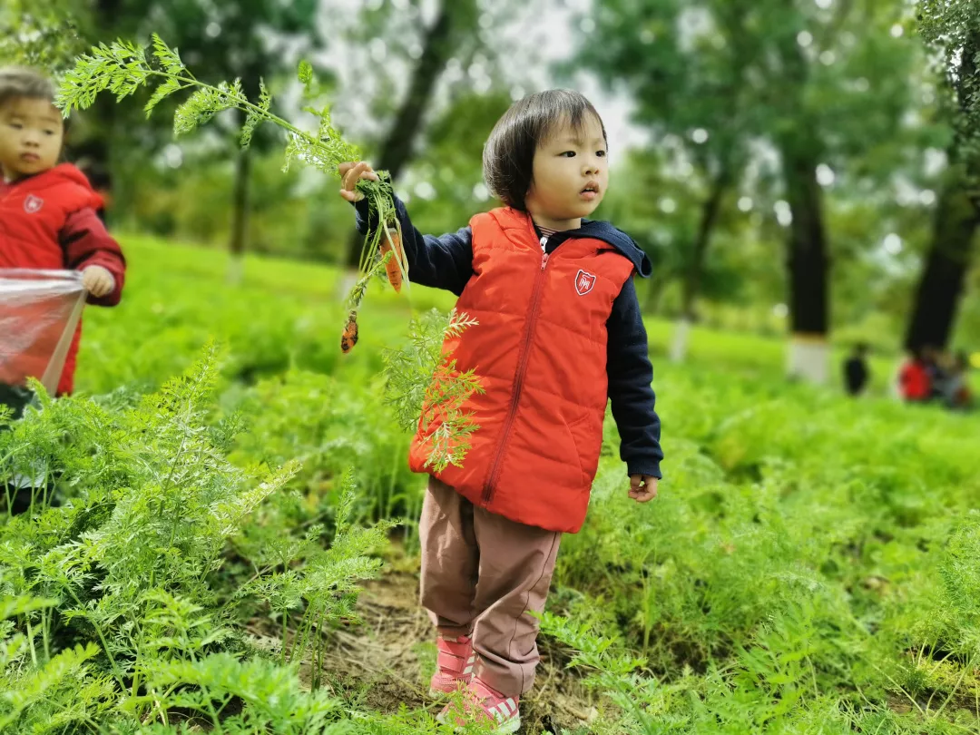 【力邁九華】遠離城市喧囂，感受自然美麗—力邁幼兒園大自然親近課(圖41)