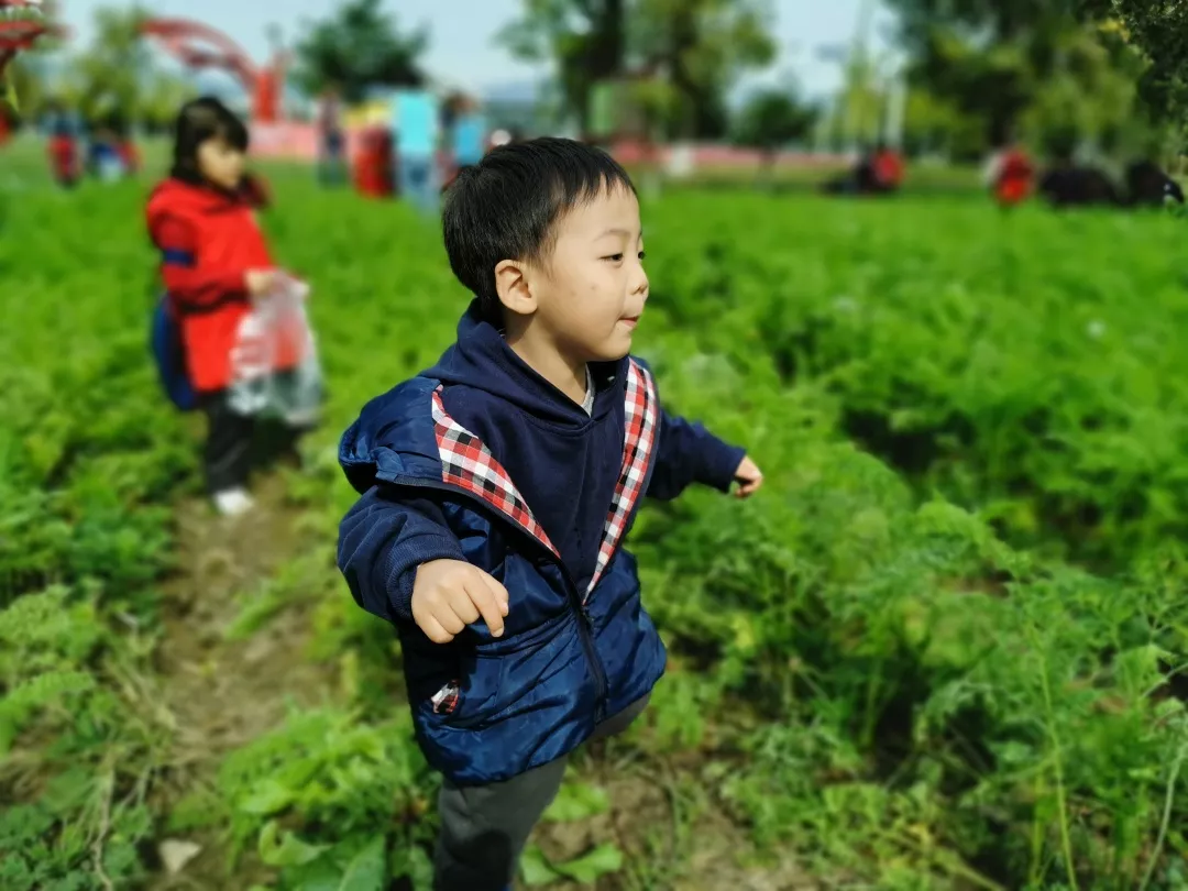 【力邁九華】遠離城市喧囂，感受自然美麗—力邁幼兒園大自然親近課(圖42)