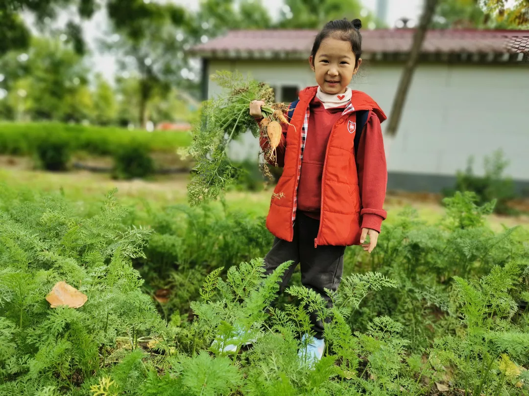 【力邁九華】遠離城市喧囂，感受自然美麗—力邁幼兒園大自然親近課(圖44)