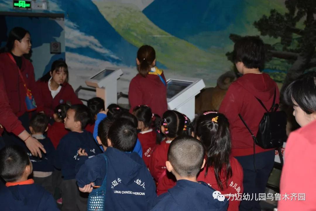 力邁幼兒園‖“走進科技館 開啟科學夢”參觀科技館活動(圖13)