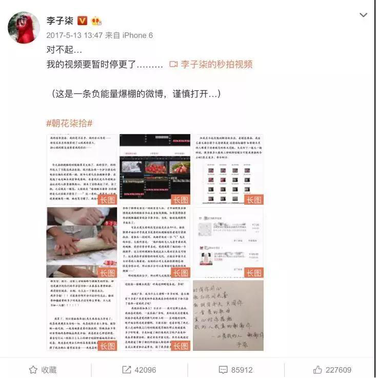 【力邁推薦】被央視點名表揚，李子柒成功路上的堅持你看到了嗎？(圖11)