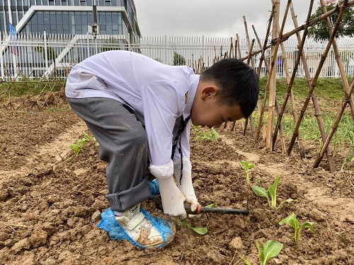 先行者｜南昌這所國際學(xué)校為學(xué)生打造了生態(tài)種植園(圖6)