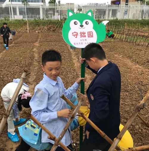 先行者｜南昌這所國際學(xué)校為學(xué)生打造了生態(tài)種植園(圖7)