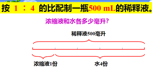 跨學(xué)科的探究課|力邁中美國(guó)際學(xué)校STEAM課程系列八(圖27)