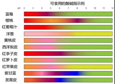 CPS Program III|感受實驗之趣 ，走進化學(xué)之美！(圖5)