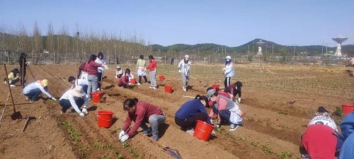 歡樂(lè)農(nóng)場(chǎng)，青春作伴|力邁中美國(guó)際學(xué)校班主任黨史培訓(xùn)團(tuán)建活動(dòng)(圖18)